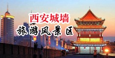 古王国的大鸡巴中国陕西-西安城墙旅游风景区
